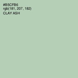 #B5CFB6 - Clay Ash Color Image